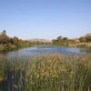 Sasan Gir