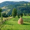 Cabins in Albac