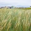 Hotels mit Parkplatz in Allonby