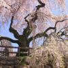 Hoteles en Hirosaki