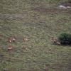 Lodges in Amakhala Game Reserve