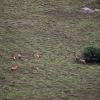 Amakhala Game Reserve