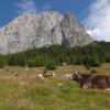 Hoteles en San Vito di Cadore