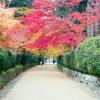 Hoteles en Koyasan