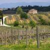 Country Houses in San Quirico dʼOrcia