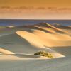 Port Alfred