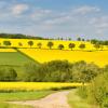 Hoteller i Bad Soden am Taunus