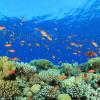 Marsa Alam