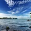 Baler
