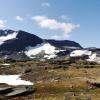 Hoteles que admiten mascotas en Høyanger