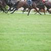 Hotels in Leopardstown