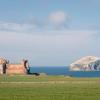 Hoteles que admiten mascotas en North Berwick