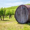 Farm Stays in Tavarnelle in Val di Pesa