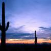 Goedkope vakanties in Oro Valley