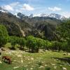 Cheap vacations in Jammu