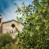 Appartementen in Ferrada di Moconesi