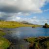 Cottages in Ballynahinch