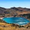 Allos