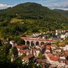 Apartments in Hornberg