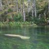 Cabañas y casas de campo en Weeki Wachee