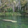 Weeki Wachee
