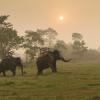 Chitwan