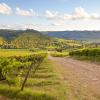 Agriturismi a San Casciano in Val di Pesa