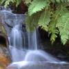 Cabins in Leura