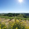 Agroturismos en Pianoro