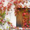 Country Houses in Kalavasos