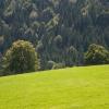 Apartments in Leutkirch im Allgäu