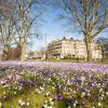 Harrogate