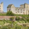 Pet-Friendly Hotels in Helmsley