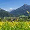 Departamentos en Altenmarkt im Pongau