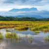 Hoteles en Kota Belud