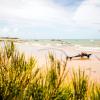 Beach Hotels in Maracajaú