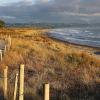 Cottages in Waihi