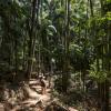 Mount Tamborine