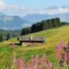 Les Saisies