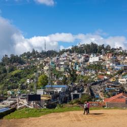 Kodaikanal 166 haustierfreundliche Hotels