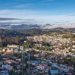 Udagamandalam 121 haustierfreundliche Hotels