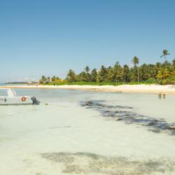 Punta Cana 79 chỗ nghỉ trọn g&oacute;i