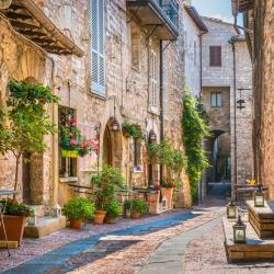 Assisi