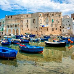 Monopoli