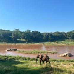 Hoedspruit
