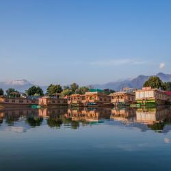 Srinagar