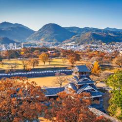 Kumamoto