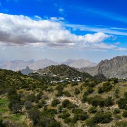Taif