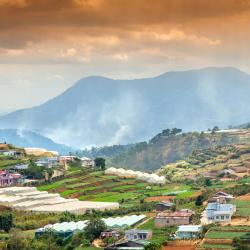 Da Lat 165 