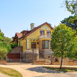 Balatonf&uuml;red 40 lake house rentals